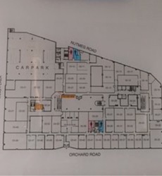 Lucky Plaza (D9), Apartment #225261821